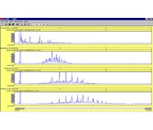 Model 202 Four Channel Data System - DISCONTINUED 9/2007